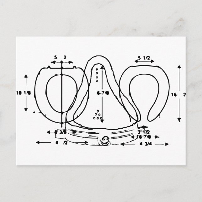 Cartão Postal assento da sanita (Frente)