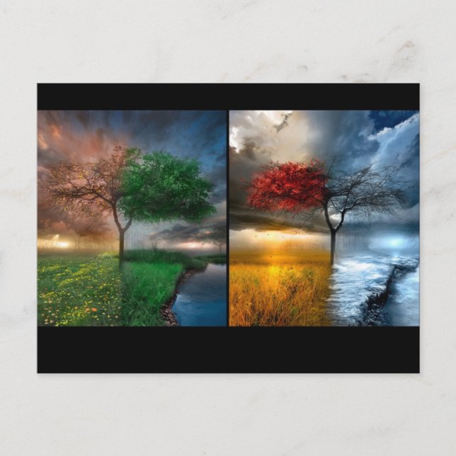 Cartão Postal Assentos (Frente)