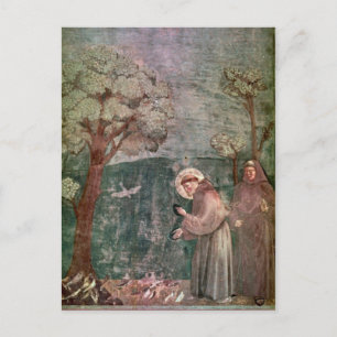 Cartão Postal Assis, Rua Francisco e aves