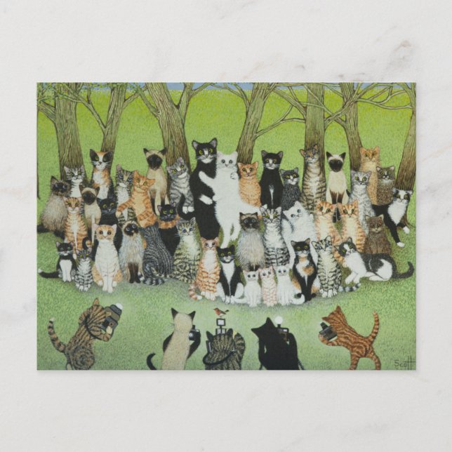 Cartão Postal Assista o Birdie (Frente)