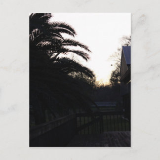 Cartão Postal Assistindo ao pôr do sol
