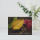Cartão Postal assoalho da floresta do folhagem de outono (Em pé/Frente)