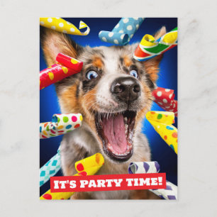 Cartão Postal Assopradores de Festa de Cachorro Feliz