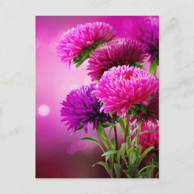 Cartão Postal Aster Autumn Flowers Art Design (Frente)