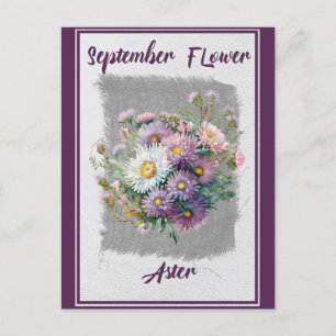 Cartão Postal Áster Floral de Flor de Setembro Vintage