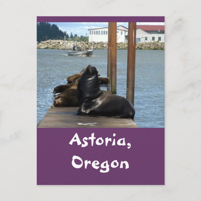 Cartão Postal Astoria Oregon Sealions (Frente)
