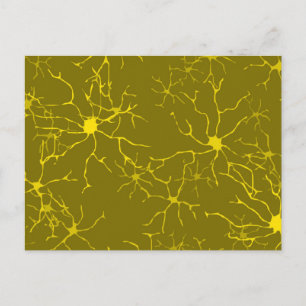 Cartão Postal Astrócitos Padrão de Células Gliais do Cérebro
