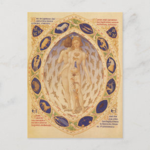 Cartão Postal Astrologia Vintage, Gráfico Zodiaco Celestial Ant