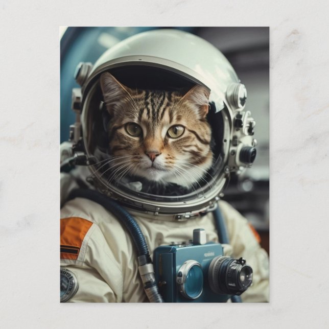 Cartão Postal Astronauta de Gato cinza no Espaço Exterior (Frente)