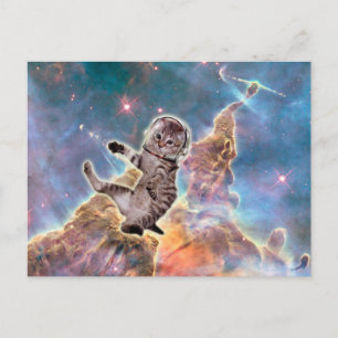 Cartão Postal Astronauta de gato gordo