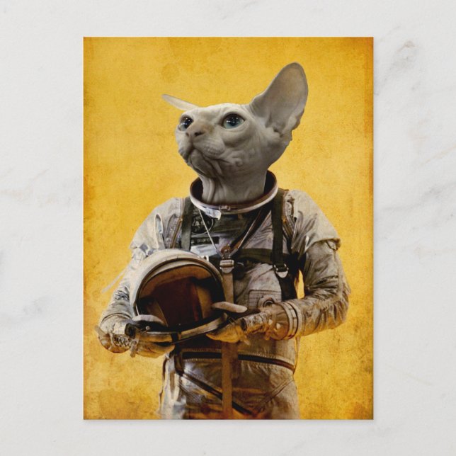 Cartão Postal Astronauta orgulhoso (Frente)