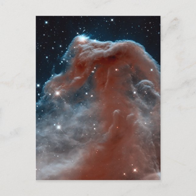 Cartão Postal Astronomia Espacial da Nebulosa Horsehead (Frente)