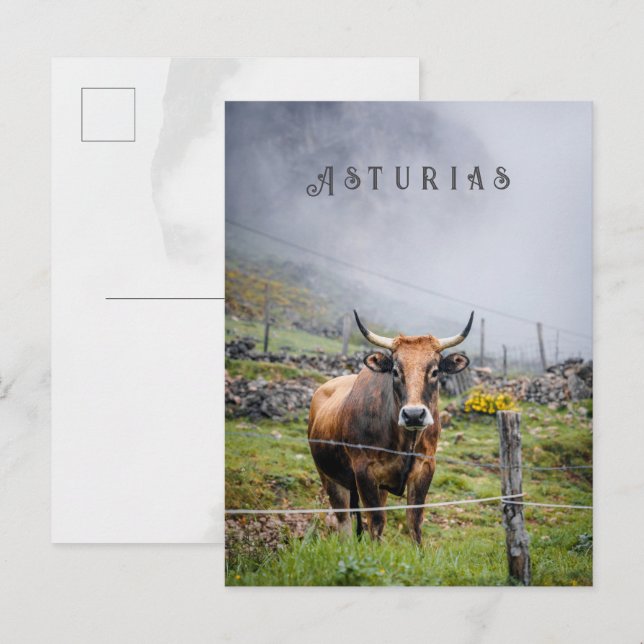 Cartão Postal Asturias Mountain Cow Travel, decorative text (Frente/Verso)