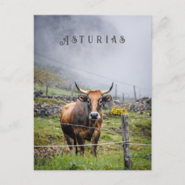 Cartão Postal Asturias Mountain Cow Travel, decorative text