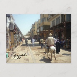 Cartão Postal aswan donkey