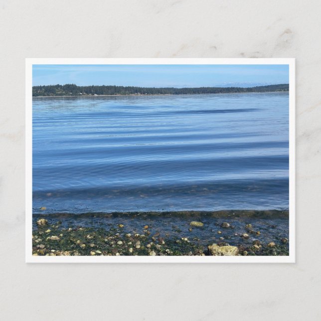 Cartão Postal At the water (Frente)