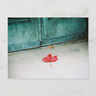 Cartão Postal At your doorstep