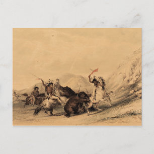 Cartão Postal Atacando o Urso Pardo, 1844 George Catlin