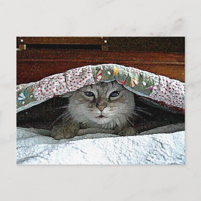 Cartão Postal Atacar Gato (Frente)