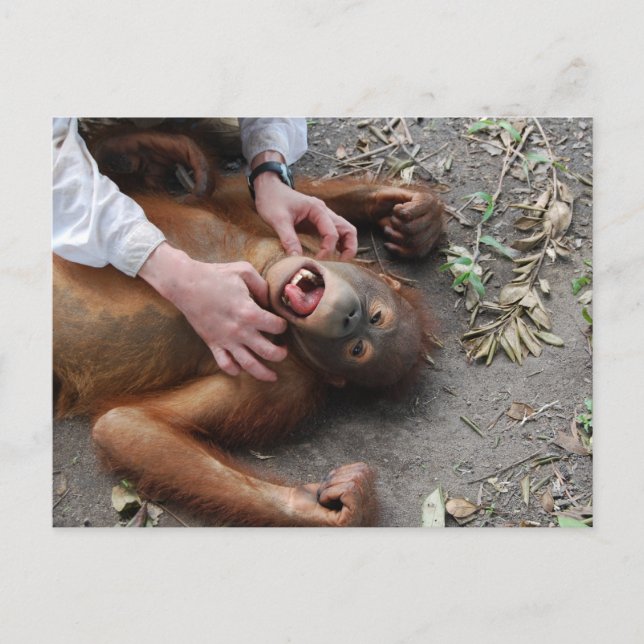 Cartão Postal Ataque de Alienígena de filme monster (Frente)