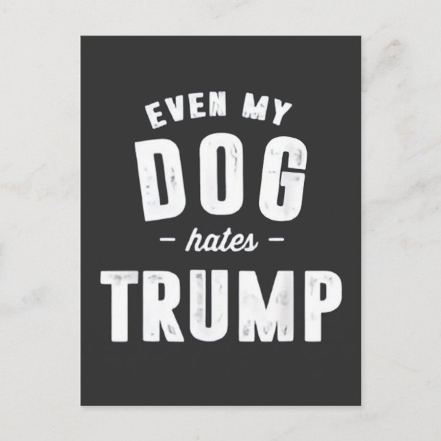 Cartão Postal Até Meu Cachorro Odeia Trump Anti Humor (Frente)