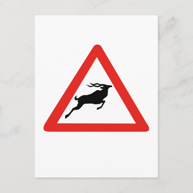 Cartão Postal Atenção Kudus, Sinal de Tráfego, África do Sul (Frente)