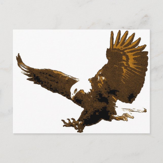 Cartão Postal Aterrissagem na águia careca (Frente)