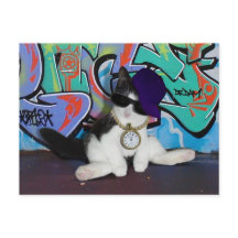 Atitude de Gato...................................