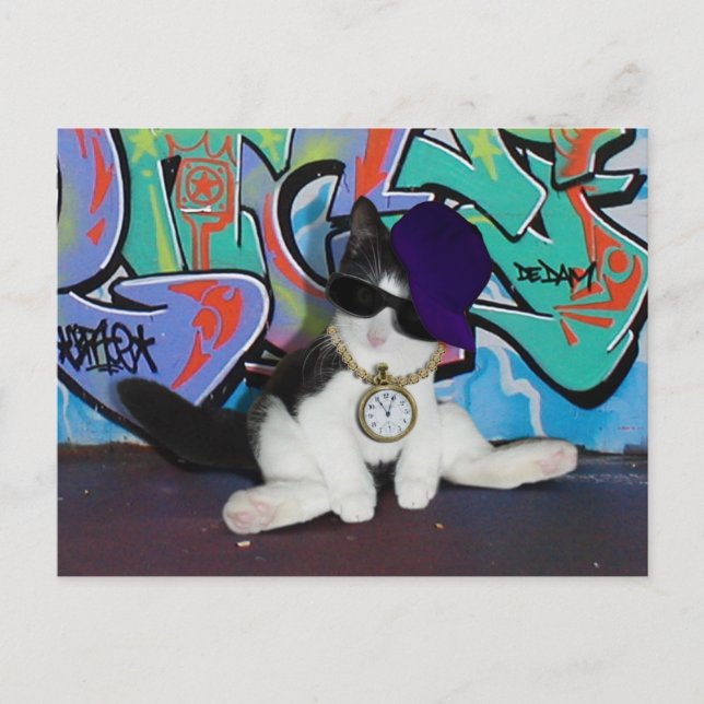 Cartão Postal Atitude de Gato................................... (Frente)