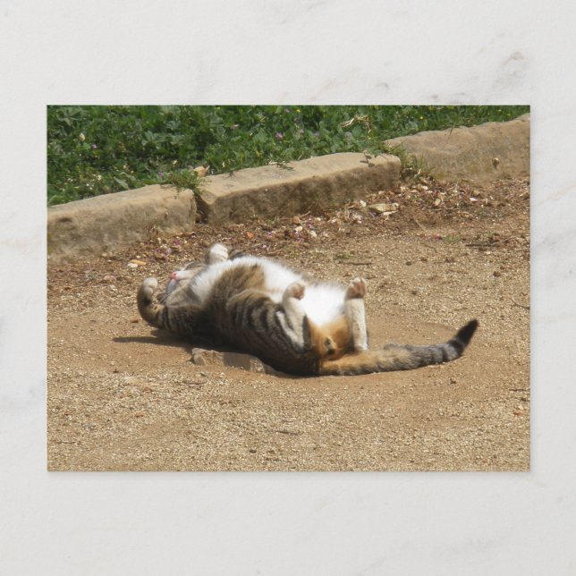 Cartão Postal Ativando (Frente)