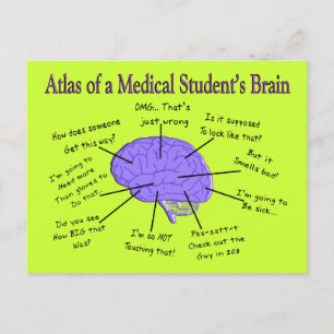 Cartão Postal Atlas do Cérebro de um Estudante Médico #2