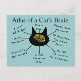 Cartão Postal Atlas do cérebro de um gato