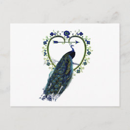 Cartão Postal Atordoamento do peacock e do ornamentado