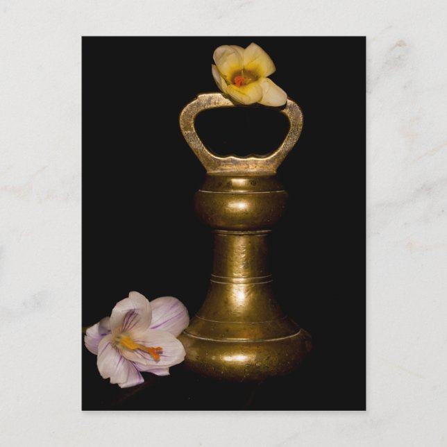 Cartão Postal Atração Floral (Frente)