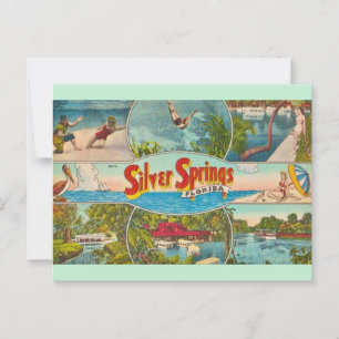 Cartão Postal Atração Vintage Silver Springs