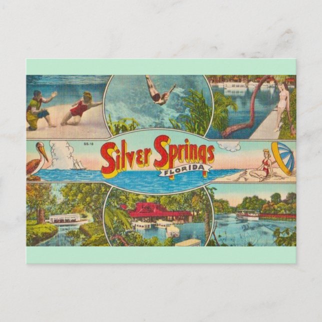 Cartão Postal Atração Vintage Silver Springs (Frente)