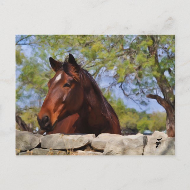 Cartão Postal Atrás da Parede (Frente)