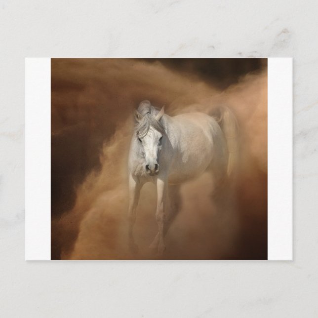 Cartão Postal Através da tempestade de poeira (Frente)