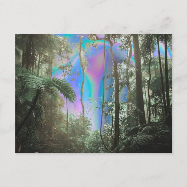 Cartão Postal Através das Árvores (Frente)
