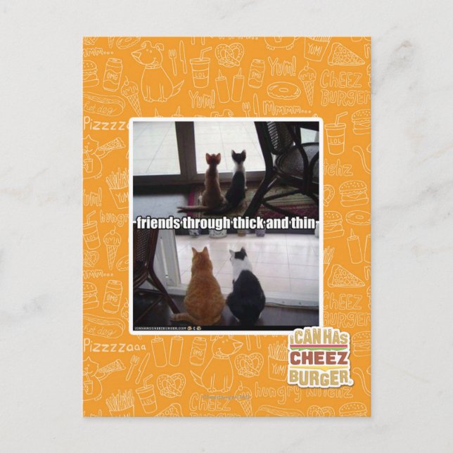 Cartão Postal Através de espesso e fino (Frente)