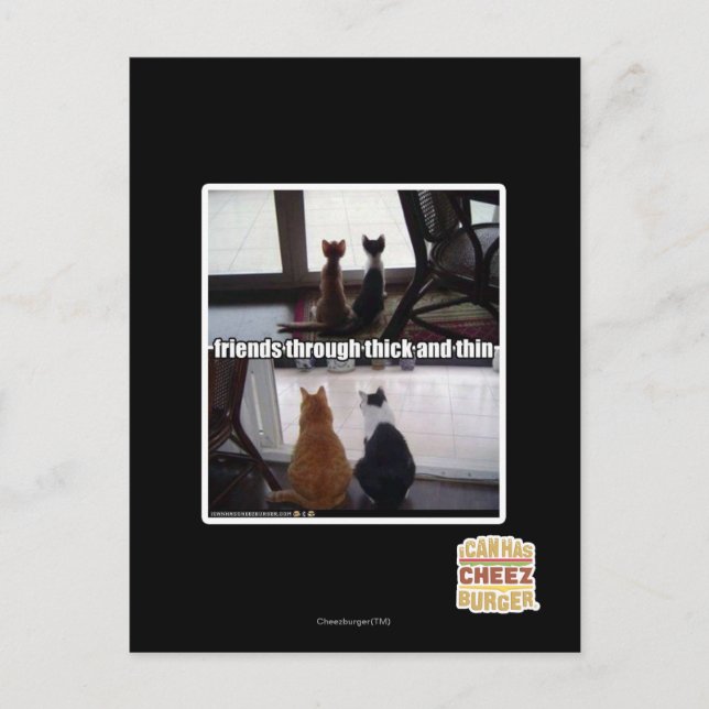 Cartão Postal Através de espesso e fino (Frente)