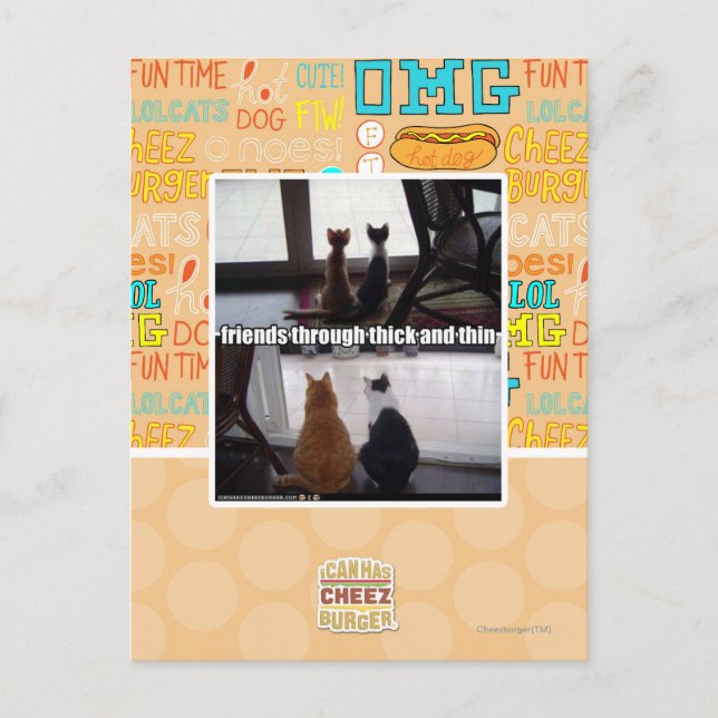 Cartão Postal Através de espesso e fino (Frente)