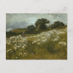 Cartão Postal Através dos campos