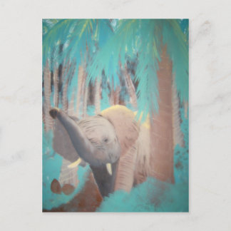 Cartão Postal atravessando