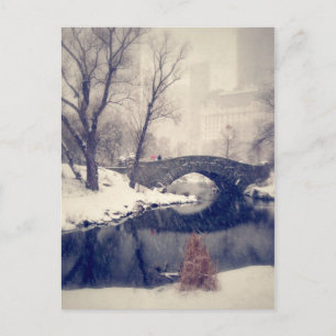 Cartão Postal Atravessando Pontes Através Da Neve No Parque Cen