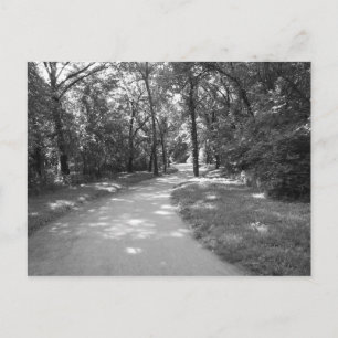 Cartão Postal Atravesse o bosque