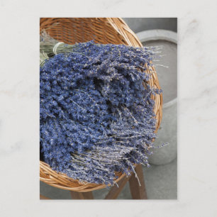 Cartão Postal Au pay des lavandes