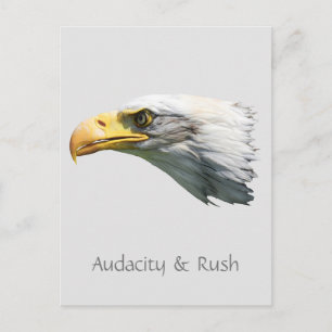 Cartão Postal Audacidade da águia careca e personalizável
