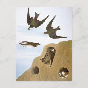 Cartão Postal Áudio: Cães