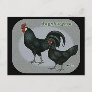 Cartão Postal Augsburger Fowl